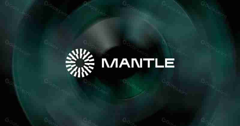 以太坊上12大热门Layer2解决方案(项目代币介绍)